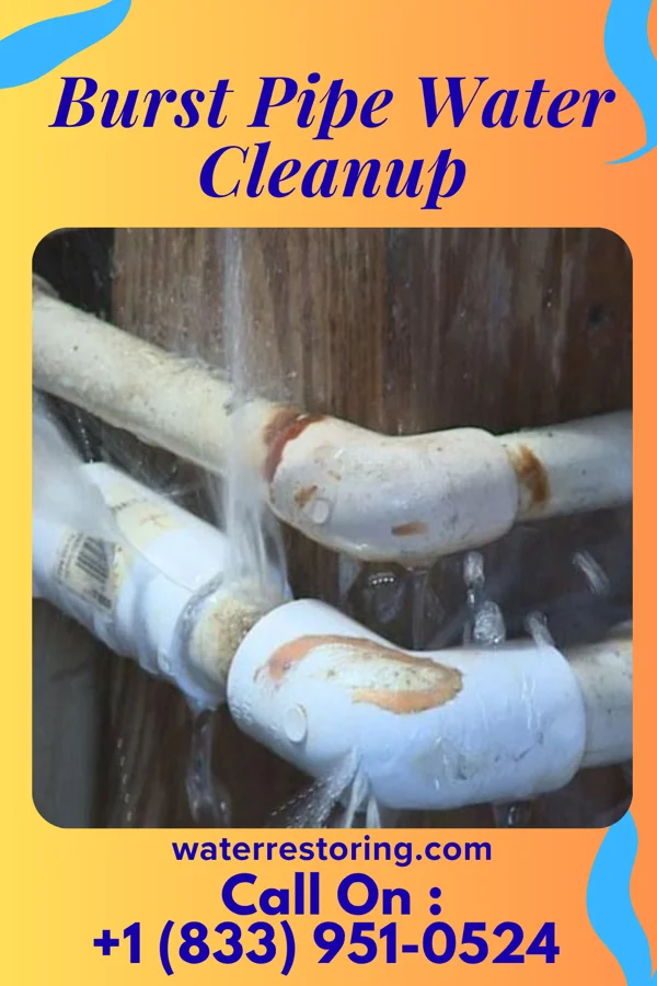 Burst Pipe Water Cleanup in Puako, HI
