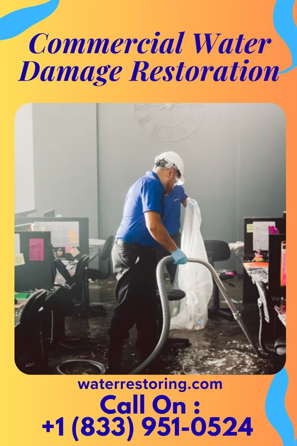 Commercial Water Damage Restoration in Puako, HI
