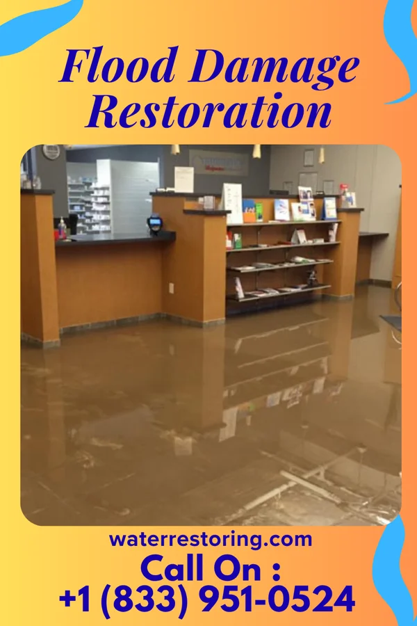 Flood Damage Restoration in Puako, HI