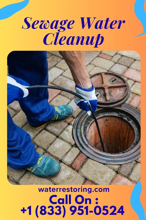 Sewage Water Cleanup in Puako, HI
