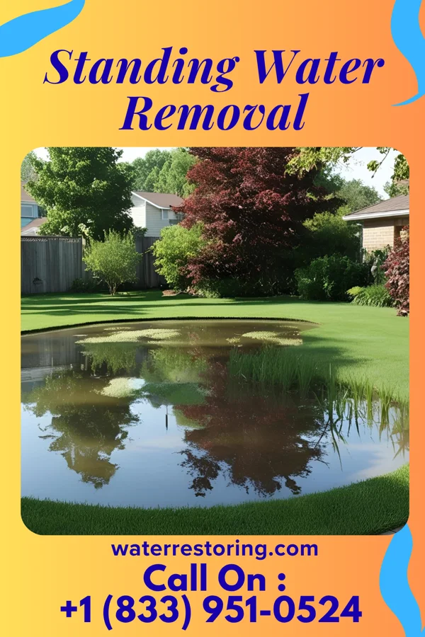 Standing Water Removal in Puako, HI
